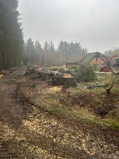 Vedligeholdelse på sommerhusgrund