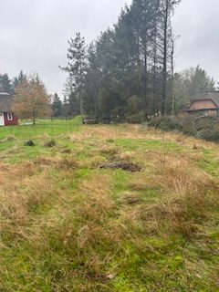 Beskæring og fældning af læhegn på sommerhusgrund
