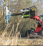 Beskæring af træer og læhegn