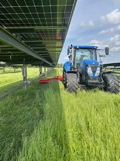 Brakpudsning og græsslåning mellem og omkring solceller